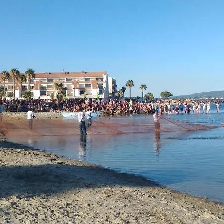 Daire Vue Chateau 100m Etang, Et Halles *