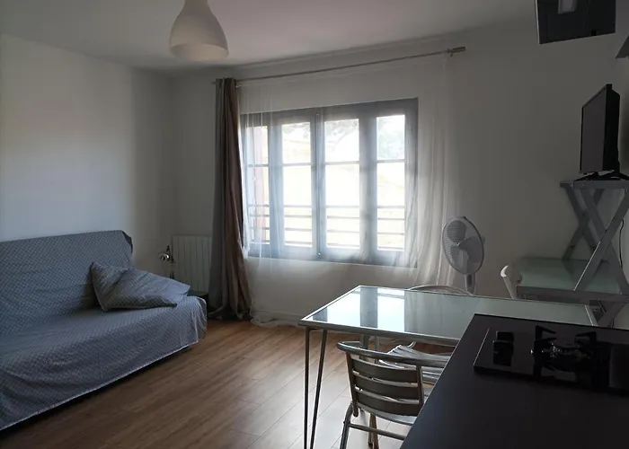 Vue Chateau 100m Etang, Et Halles Lejlighed Mèze